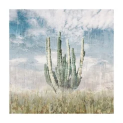 Hot Sale ⭐ F27 Frontier Dream Art 👍