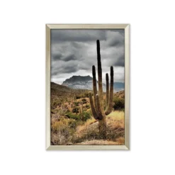 Best Sale 🎉 L33 Desert Sunrise 🔥