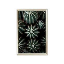 Hot Sale 👏 L33 Enchanted Effervescence ⌛