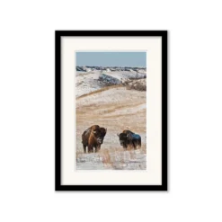 Budget 👏 L33 Rustic Reticence ✔️